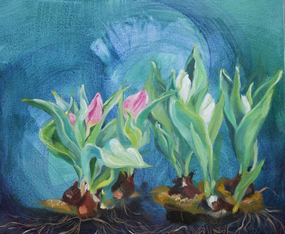 Tulpen - 2024 - 50 x40 cm _Öl auf Leinwand.jpg