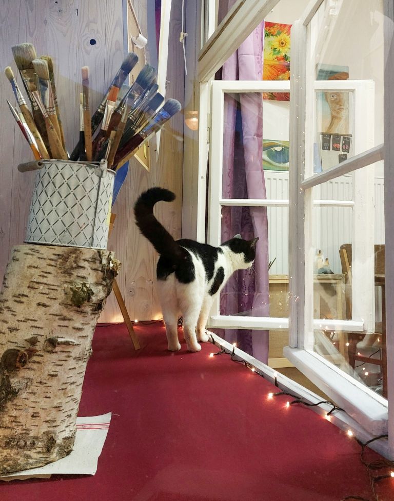 Katze auf Fensterbrett im Atlier